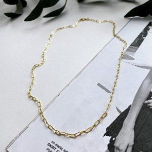Natalie Borton James Link Chain Necklace (Gold Fil